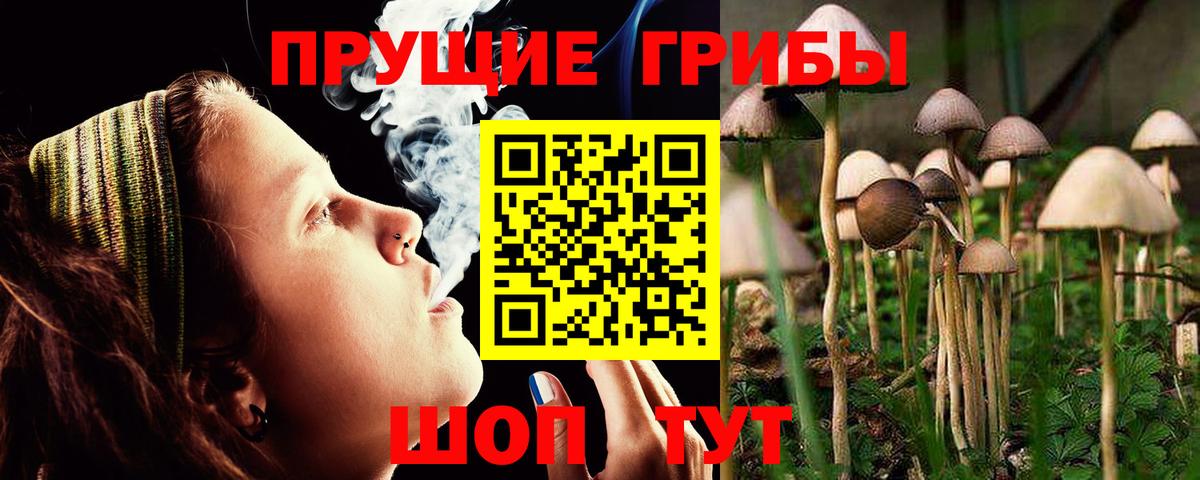 Псилоцибиновые грибы ЛСД Нефтеюганск